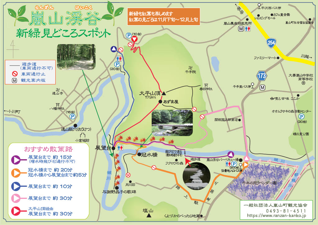 嵐山渓谷 新緑見どころスポット