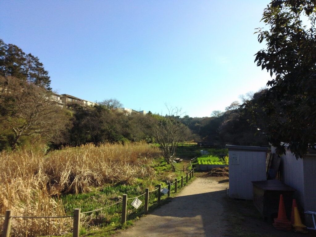 鎌倉広町緑地