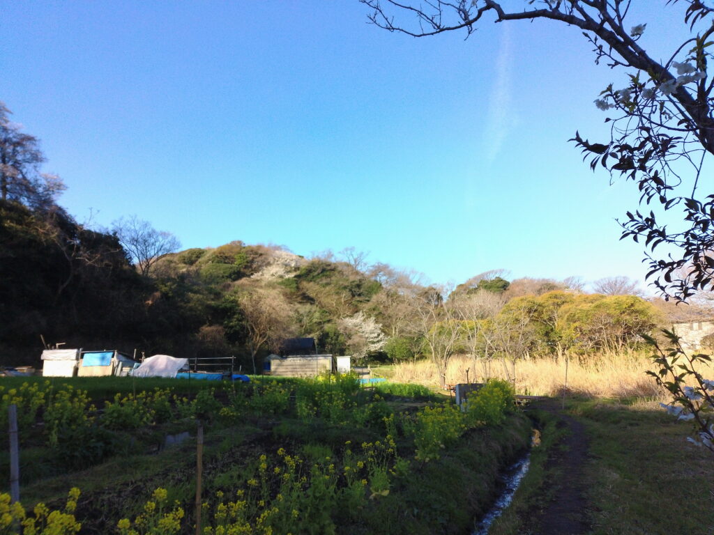 鎌倉広町緑地