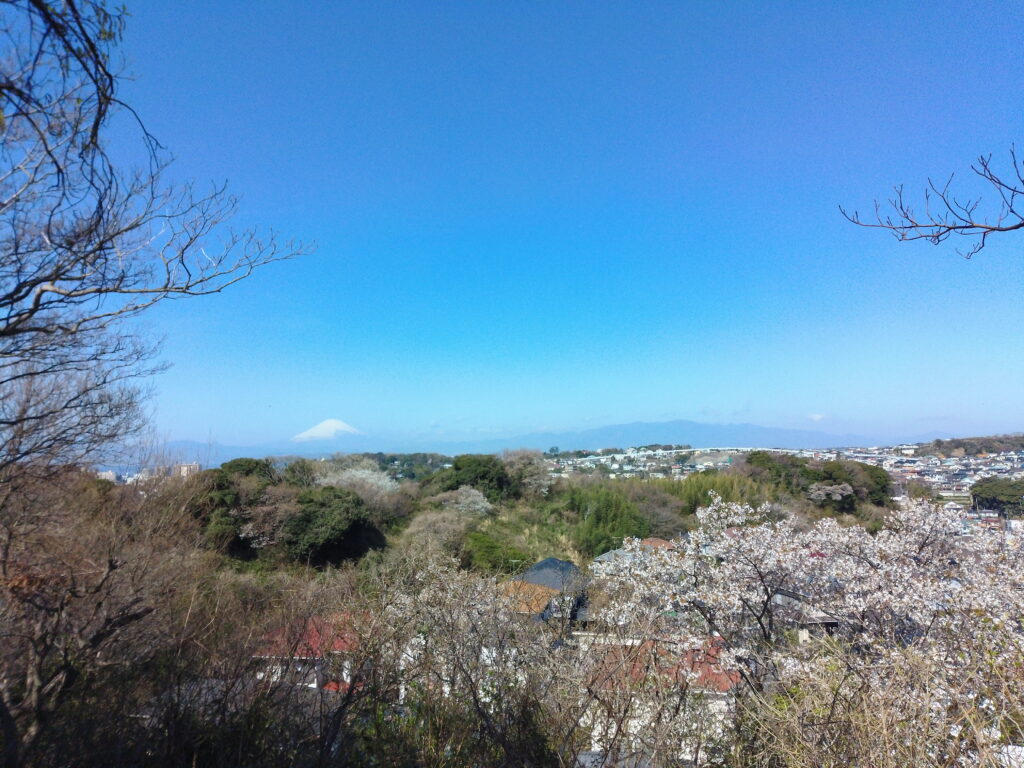 鎌倉広町緑地　富士山