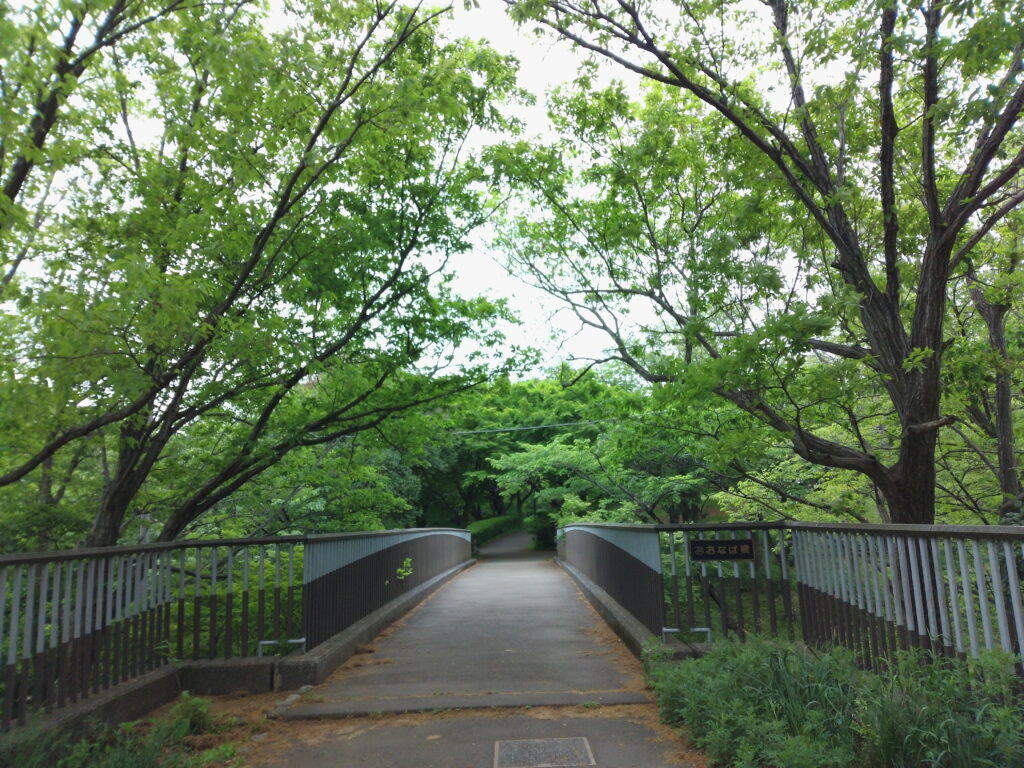 舞岡公園