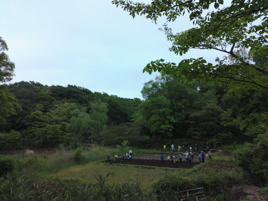 舞岡公園