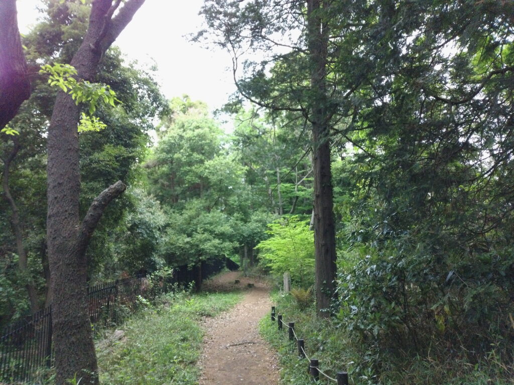 舞岡公園