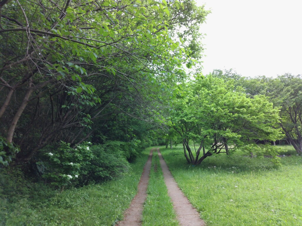 舞岡公園