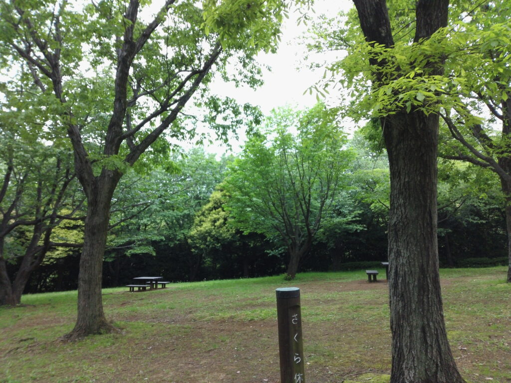 舞岡公園